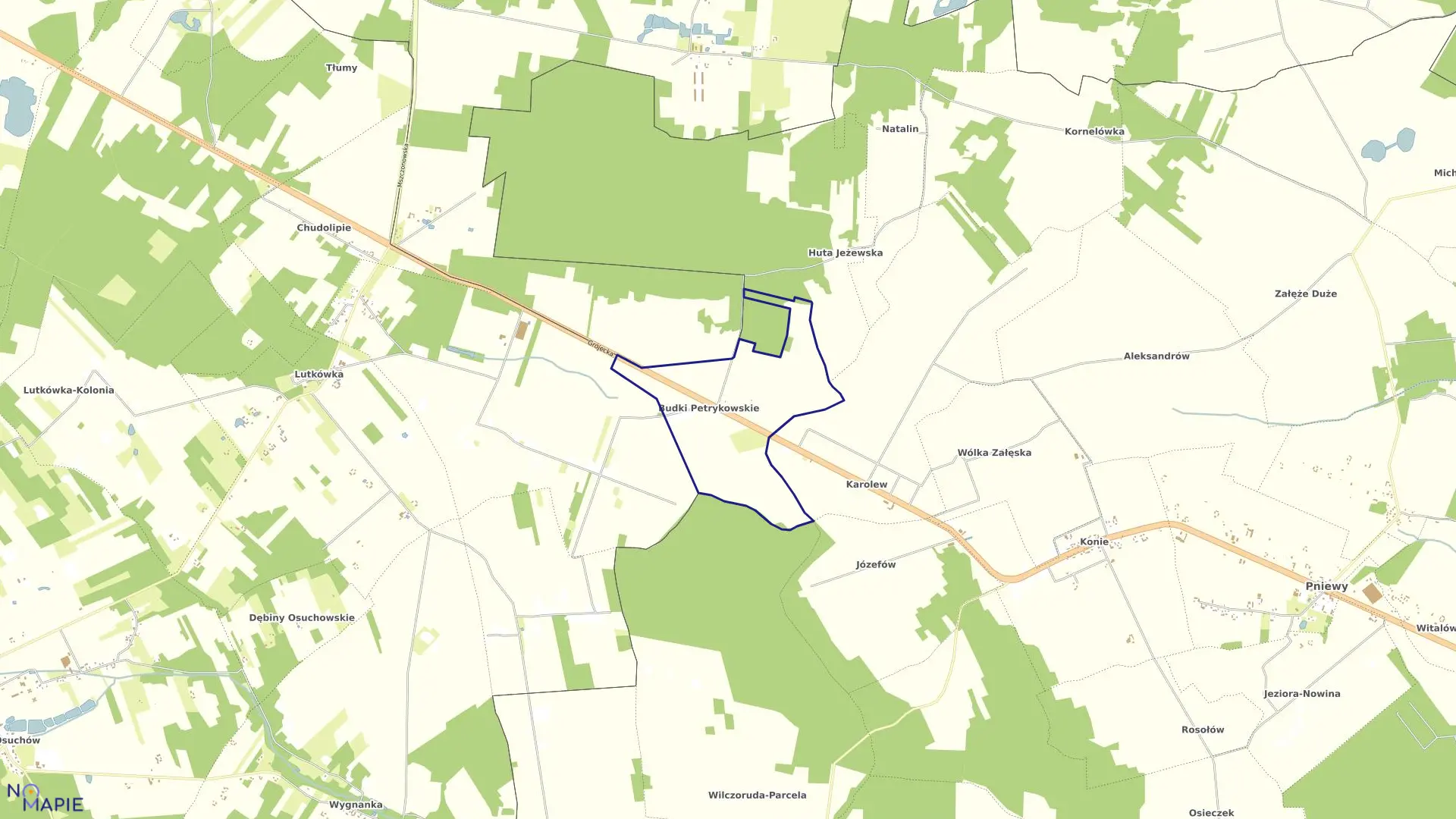 Mapa obrębu BUDKI PETRYKOWSKIE w gminie Pniewy